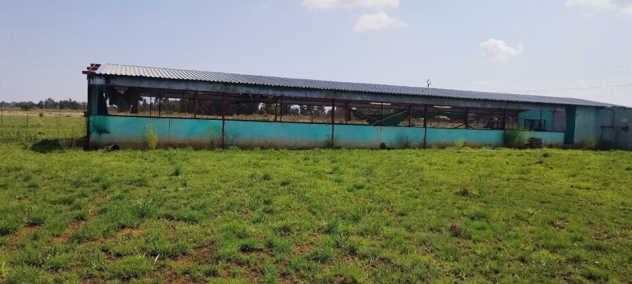 3 Bedroom Property for Sale in Walker Fruit Farms Gauteng