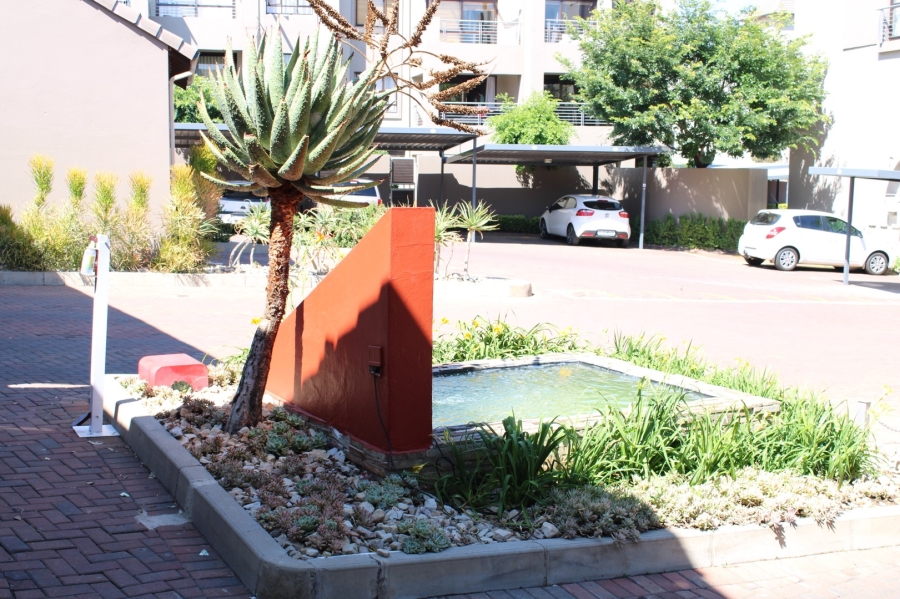 To Let 0 Bedroom Property for Rent in Sunninghill Gauteng