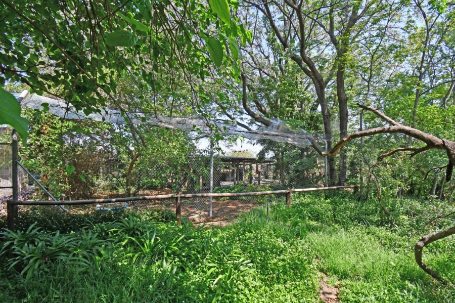 3 Bedroom Property for Sale in Sun Valley Gauteng
