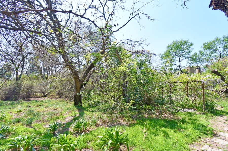 3 Bedroom Property for Sale in Sun Valley Gauteng