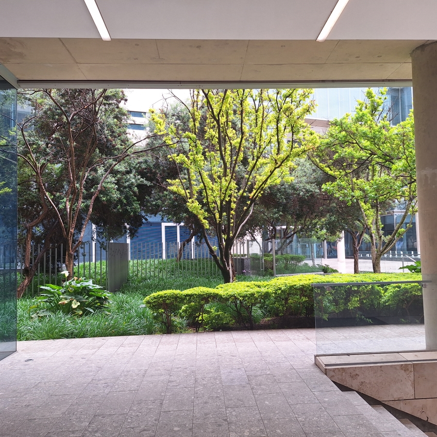 To Let Commercial Property for Rent in Sandton Central Gauteng