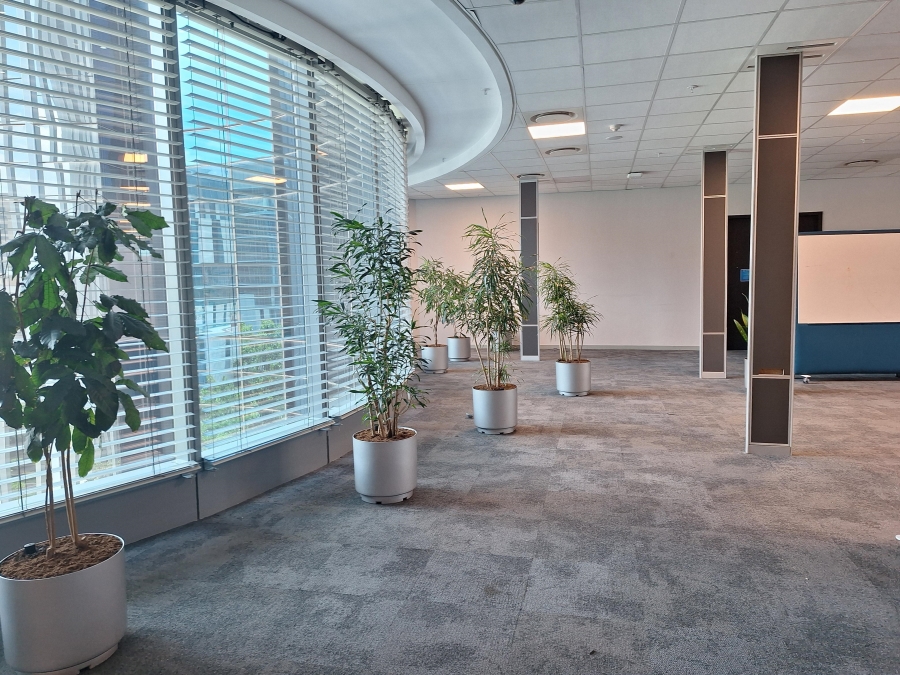 To Let Commercial Property for Rent in Sandhurst Gauteng