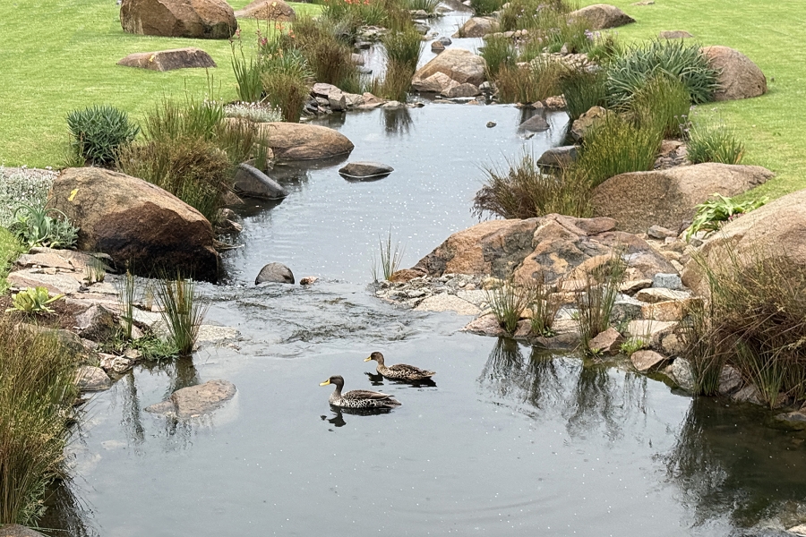 1 Bedroom Property for Sale in Waterfall Hills Mature Lifestyle Estate Gauteng