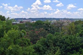 9 Bedroom Property for Sale in Muckleneuk Gauteng