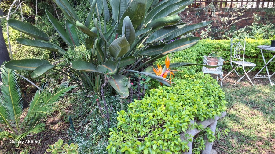 4 Bedroom Property for Sale in Menlo Park Gauteng