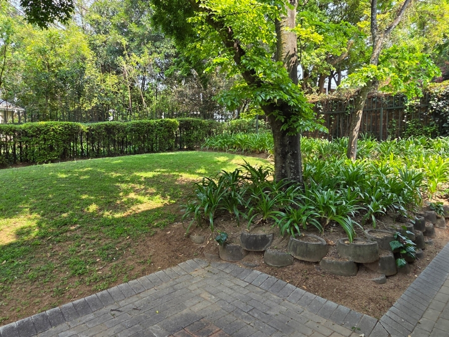 To Let Commercial Property for Rent in Lyme Park Gauteng