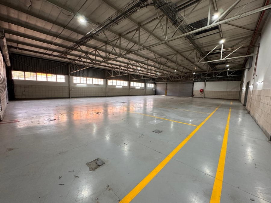 To Let Commercial Property for Rent in Bruma Gauteng