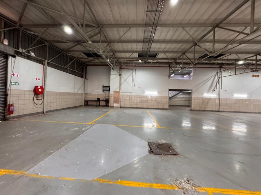 To Let Commercial Property for Rent in Bruma Gauteng