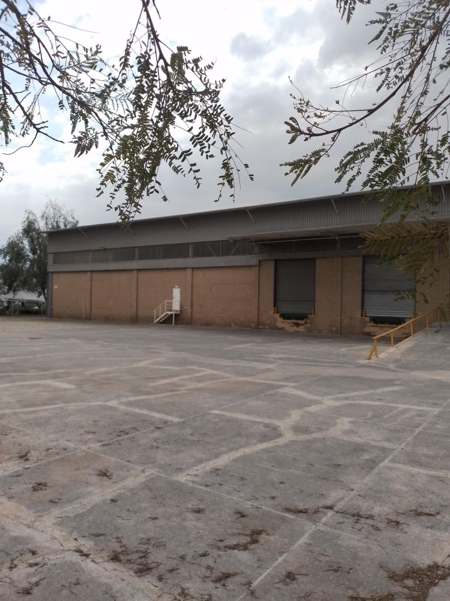 To Let Commercial Property for Rent in Longmeadow Gauteng