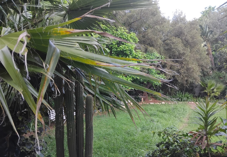 To Let 1 Bedroom Property for Rent in Blairgowrie Gauteng