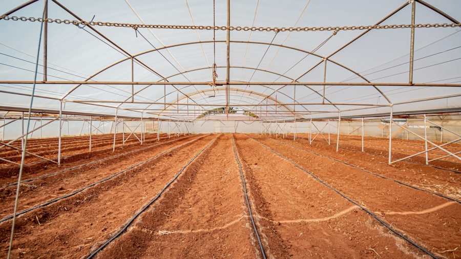 Commercial Property for Sale in Mapleton A H Gauteng