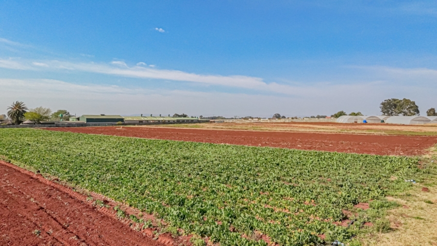Commercial Property for Sale in Mapleton A H Gauteng
