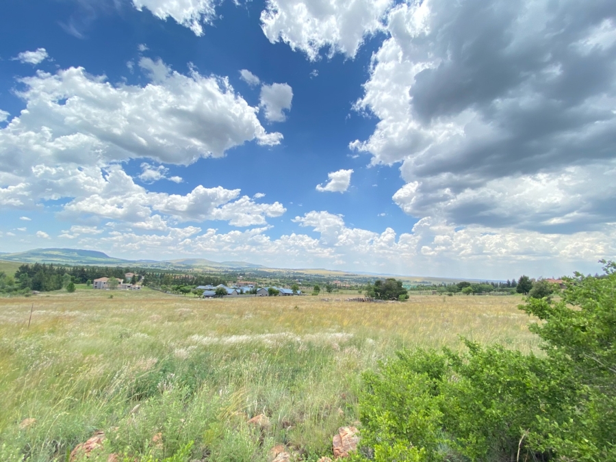 0 Bedroom Property for Sale in Blue Saddle Ranches Gauteng