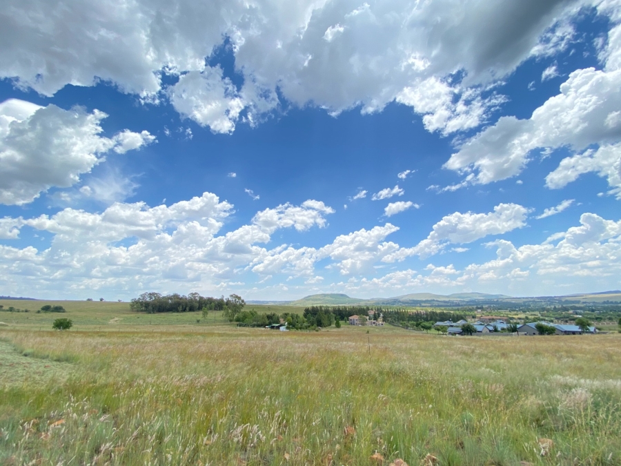 0 Bedroom Property for Sale in Blue Saddle Ranches Gauteng