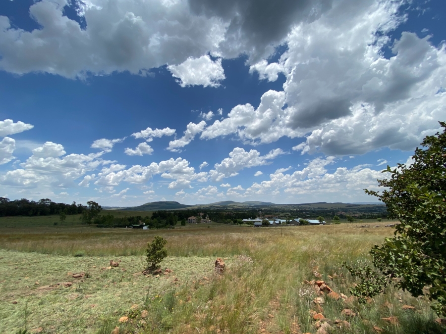 0 Bedroom Property for Sale in Blue Saddle Ranches Gauteng