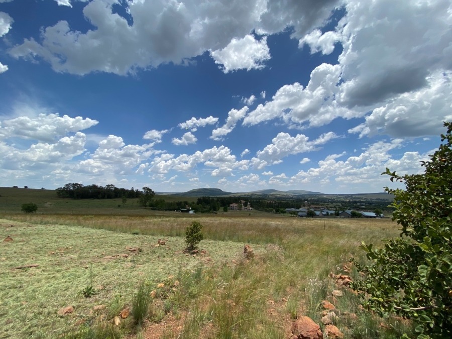 0 Bedroom Property for Sale in Blue Saddle Ranches Gauteng