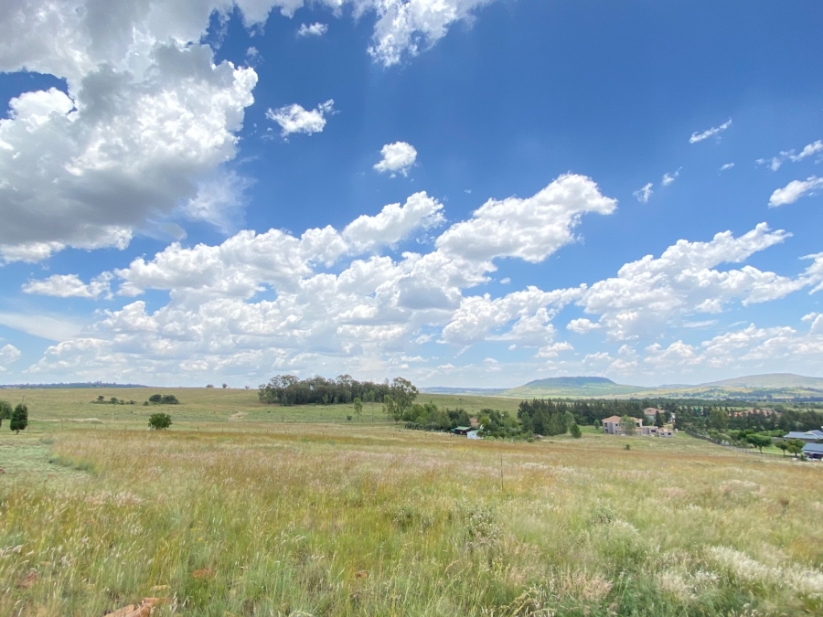 0 Bedroom Property for Sale in Blue Saddle Ranches Gauteng
