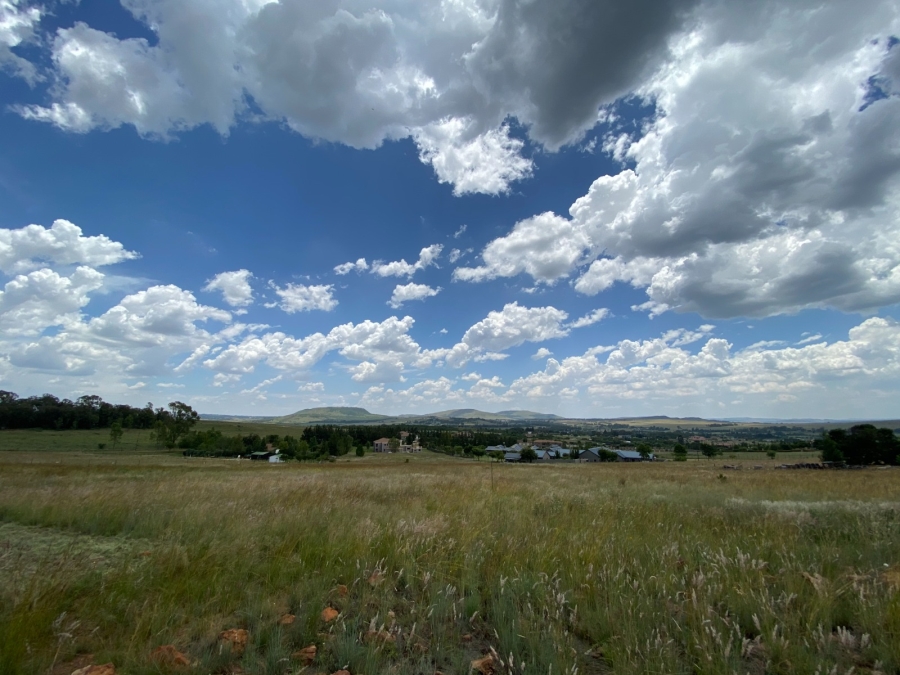0 Bedroom Property for Sale in Blue Saddle Ranches Gauteng
