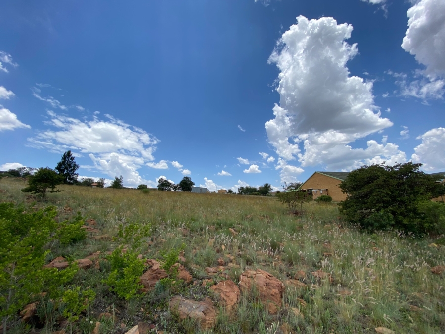 0 Bedroom Property for Sale in Blue Saddle Ranches Gauteng