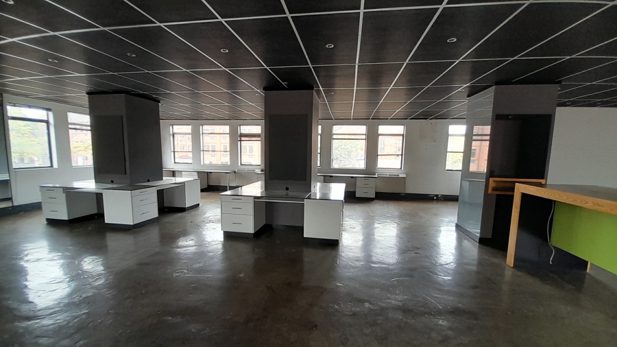 To Let Commercial Property for Rent in Faerie Glen Gauteng