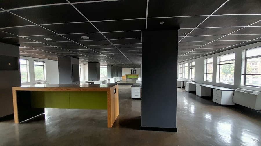 To Let Commercial Property for Rent in Faerie Glen Gauteng
