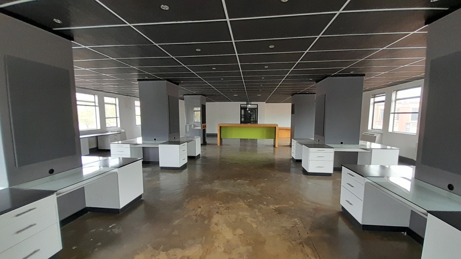 To Let Commercial Property for Rent in Faerie Glen Gauteng