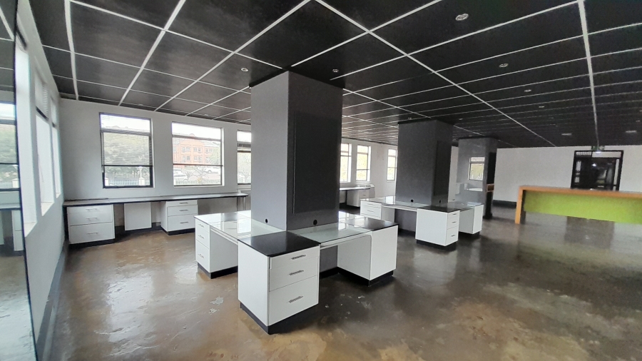 To Let Commercial Property for Rent in Faerie Glen Gauteng
