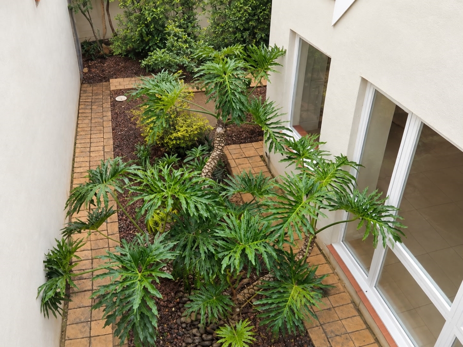 To Let 3 Bedroom Property for Rent in Silver Lakes Gauteng