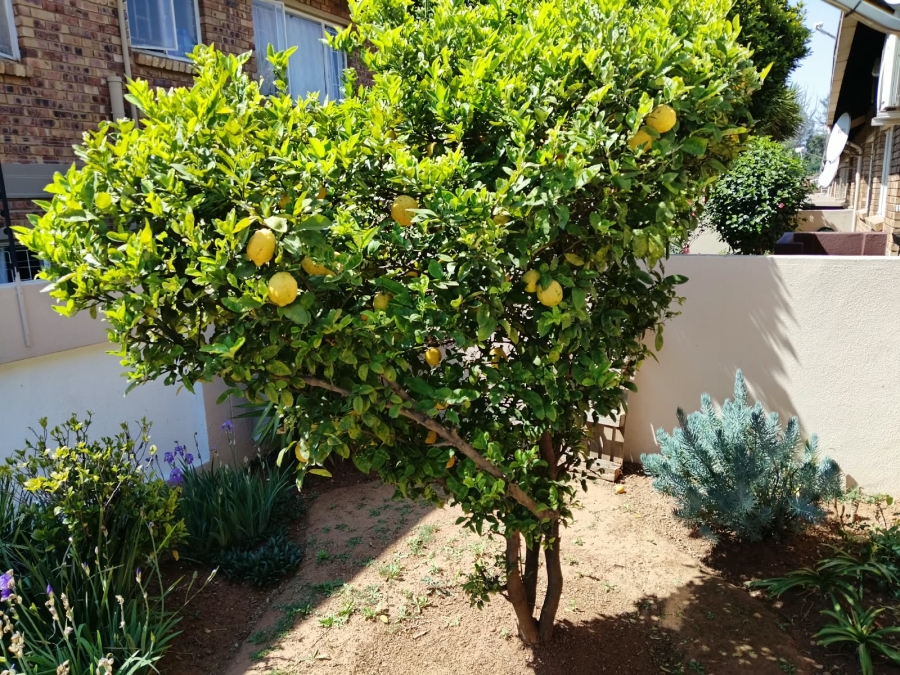 3 Bedroom Property for Sale in Terenure Gauteng