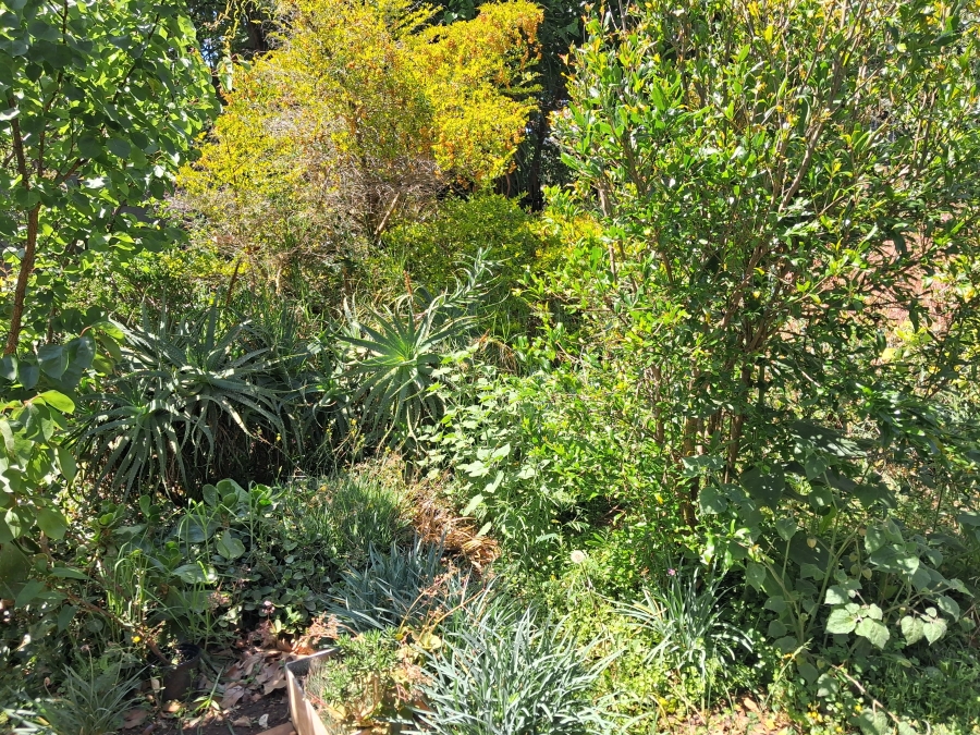 3 Bedroom Property for Sale in Darrenwood Gauteng