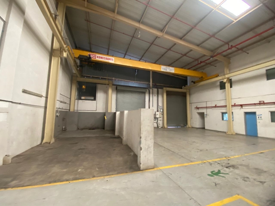 To Let Commercial Property for Rent in Randjespark Gauteng