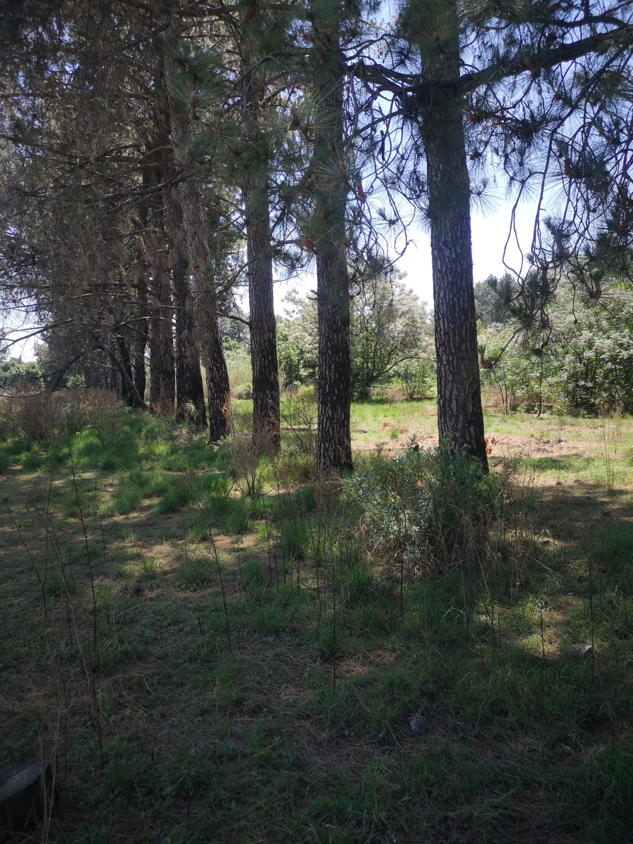 0 Bedroom Property for Sale in Unitas Park Gauteng