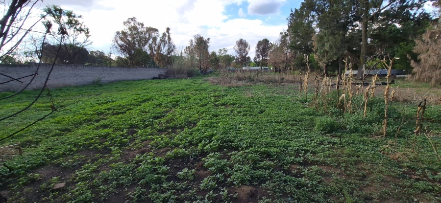 3 Bedroom Property for Sale in Homestead Apple Orchards Gauteng