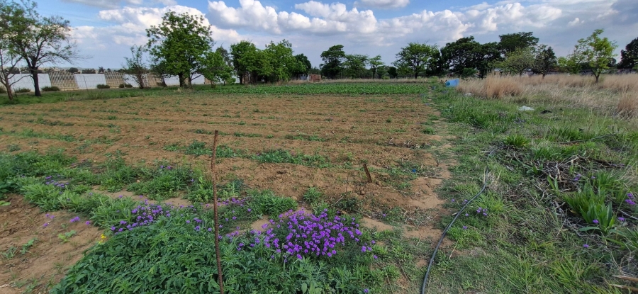 3 Bedroom Property for Sale in Homestead Apple Orchards Gauteng