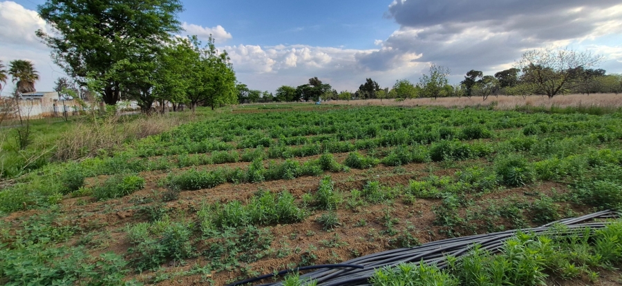 3 Bedroom Property for Sale in Homestead Apple Orchards Gauteng