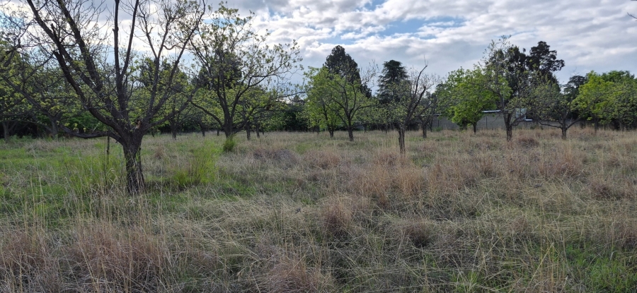 3 Bedroom Property for Sale in Homestead Apple Orchards Gauteng