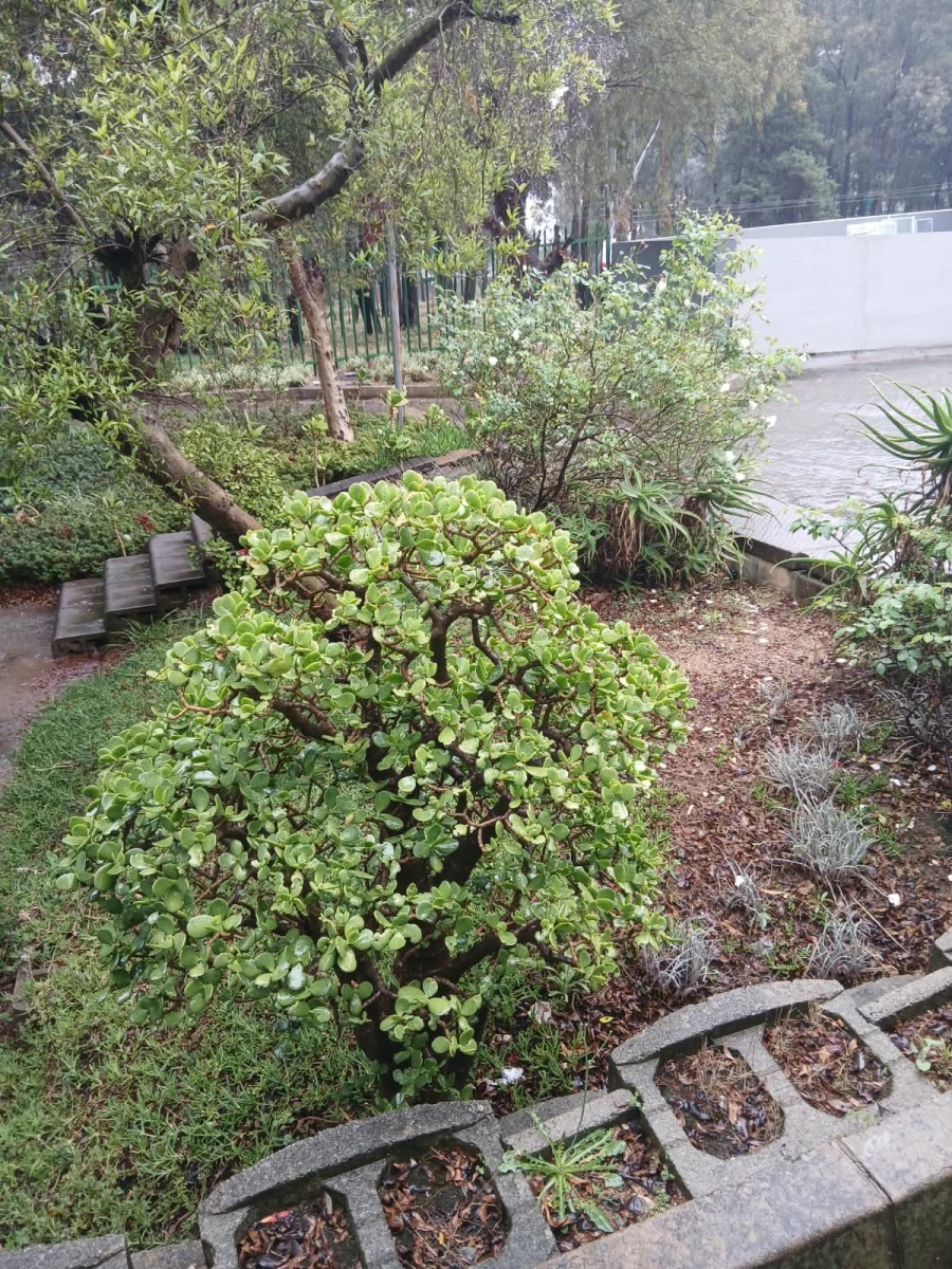 1 Bedroom Property for Sale in Glen Austin Gauteng