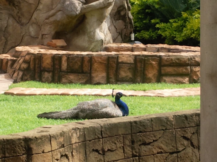 5 Bedroom Property for Sale in Christoburg Gauteng