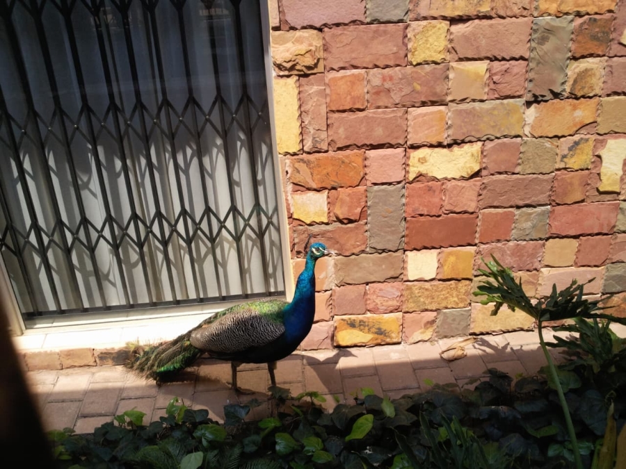 5 Bedroom Property for Sale in Christoburg Gauteng