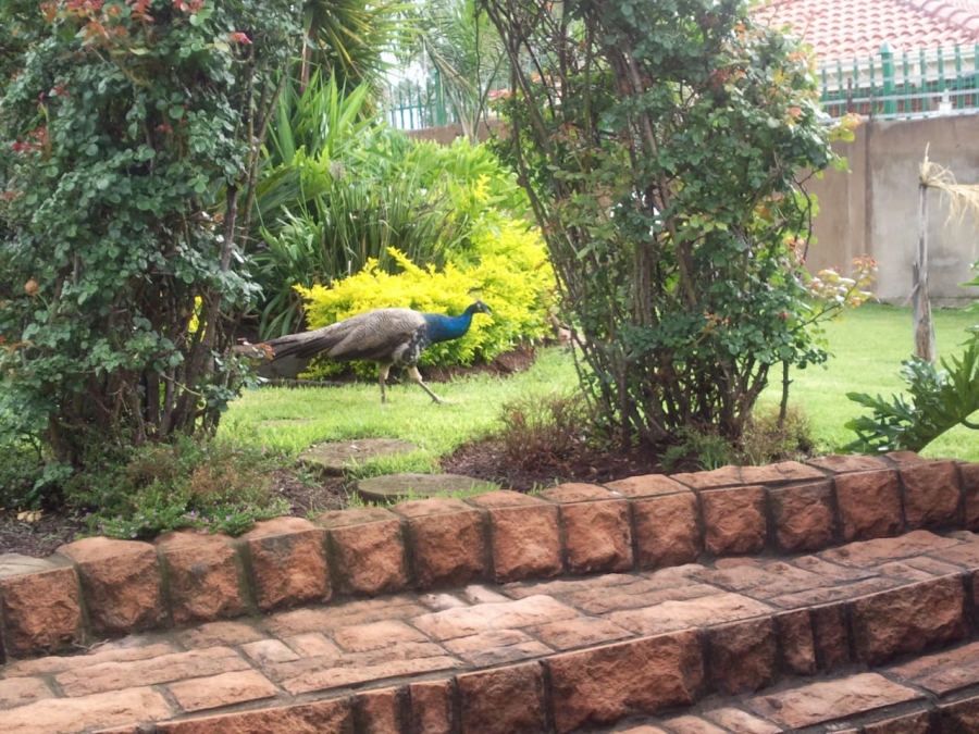 5 Bedroom Property for Sale in Christoburg Gauteng