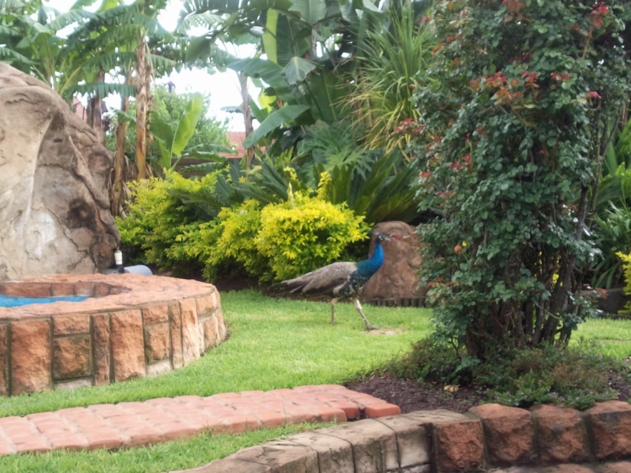 5 Bedroom Property for Sale in Christoburg Gauteng