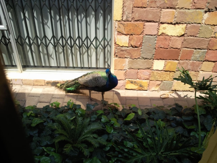 5 Bedroom Property for Sale in Christoburg Gauteng