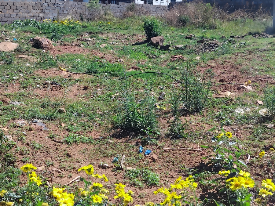 0 Bedroom Property for Sale in Randfontein Rural Gauteng