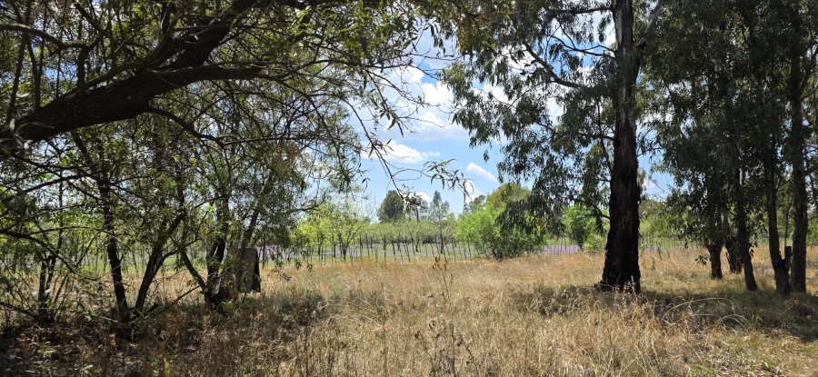 0 Bedroom Property for Sale in Vaal Marina Gauteng