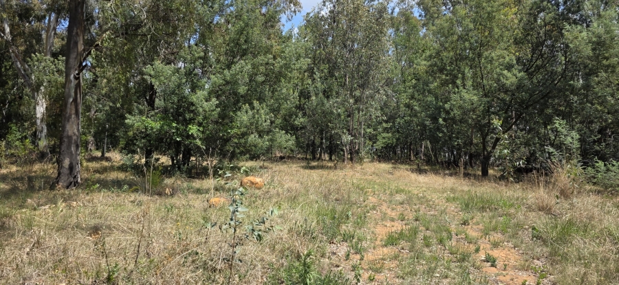 0 Bedroom Property for Sale in Vaal Marina Gauteng