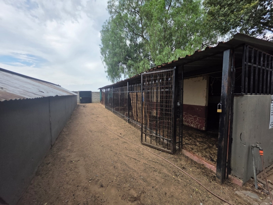 4 Bedroom Property for Sale in Buyscelia Gauteng