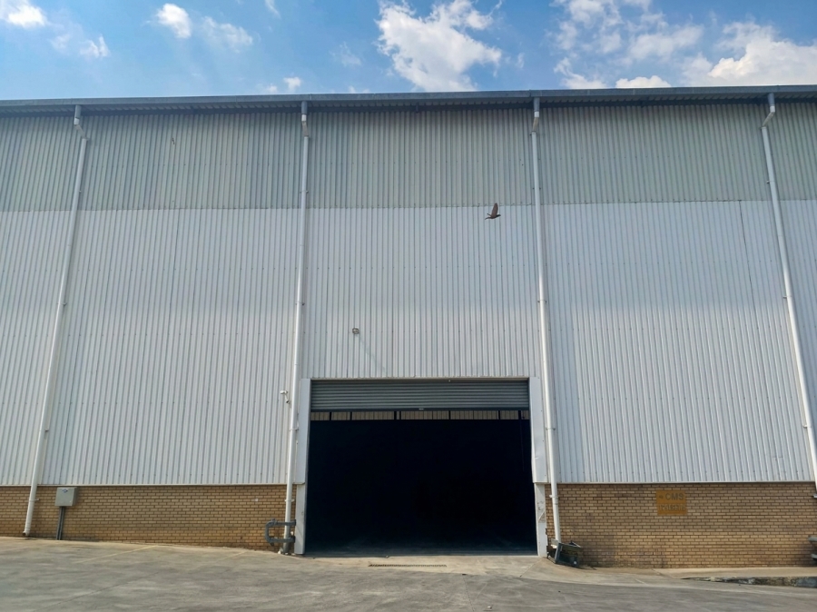 To Let Commercial Property for Rent in Rietfontein Gauteng