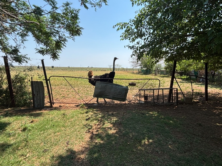 7 Bedroom Property for Sale in Zonkolol Gauteng