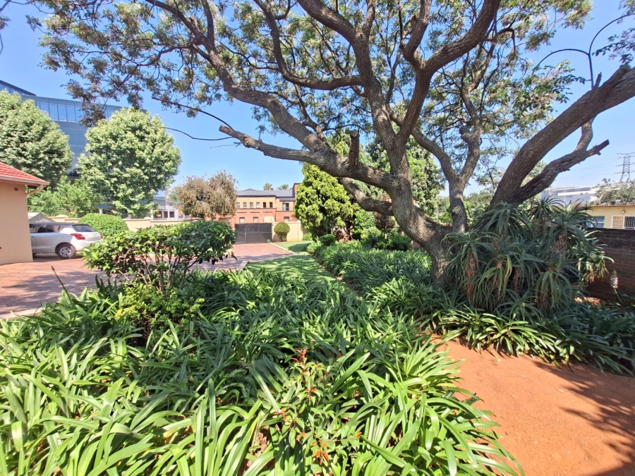 To Let 8 Bedroom Property for Rent in Bedfordview Gauteng