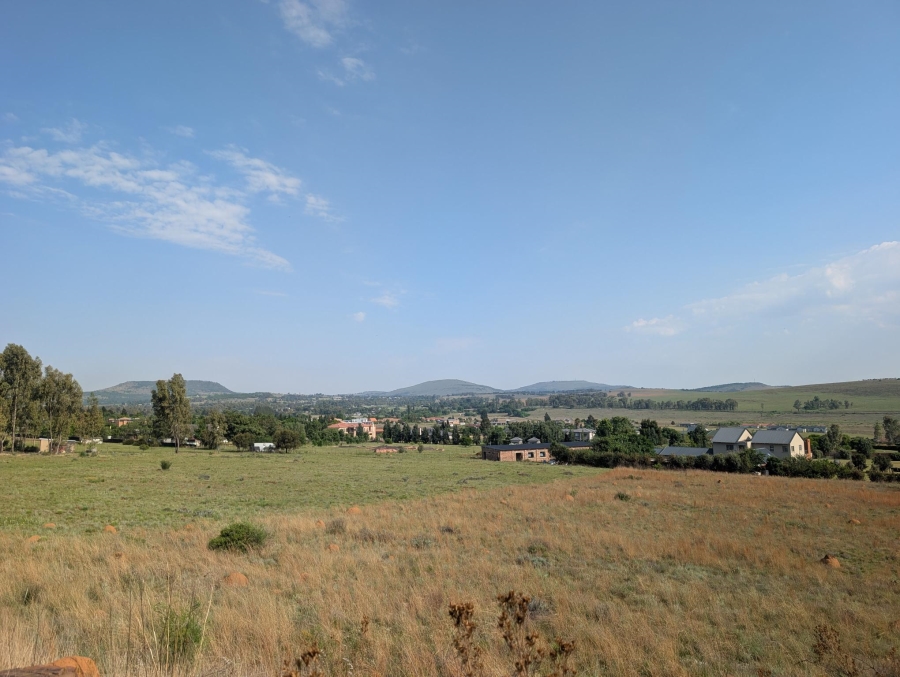 0 Bedroom Property for Sale in Blue Saddle Ranches Gauteng